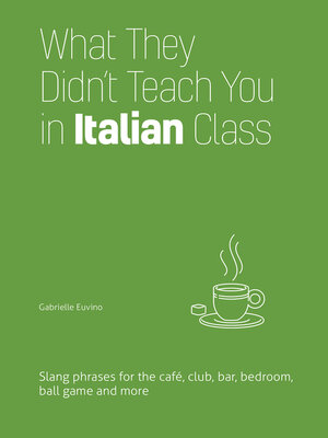 cover image of What They Didn't Teach You in Italian Class